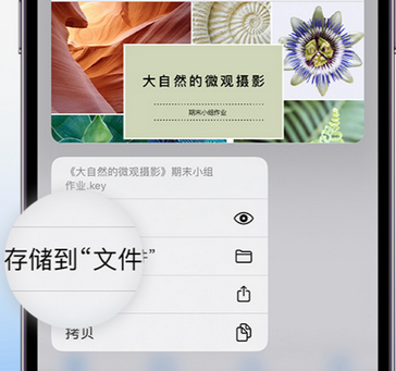 昌平apple维修中心分享iPhone文件应用中存储和找到下载文件