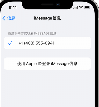 昌平apple维修iPhone上无法正常发送iMessage信息 