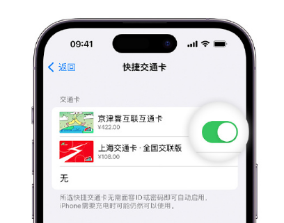 昌平apple维修点分享iPhone上更换Apple Pay快捷交通卡手绘卡面 