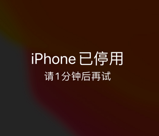 昌平苹果手机维修分享:iPhone 显示“不可用”或“已停用”怎么办？还能保留数据吗？ 