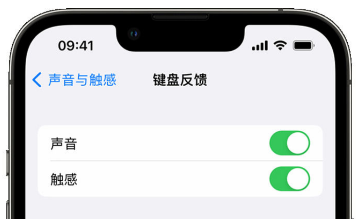 昌平苹果手机维修分享iPhone 14触感键盘使用方法 