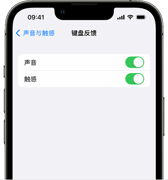 昌平苹果14维修店分享如何在 iPhone 14 机型中使用触感键盘 