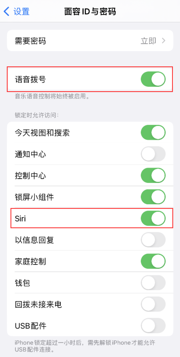 昌平苹果维修网点分享不解锁 iPhone 的情况下通过 Siri 拨打电话的方法 