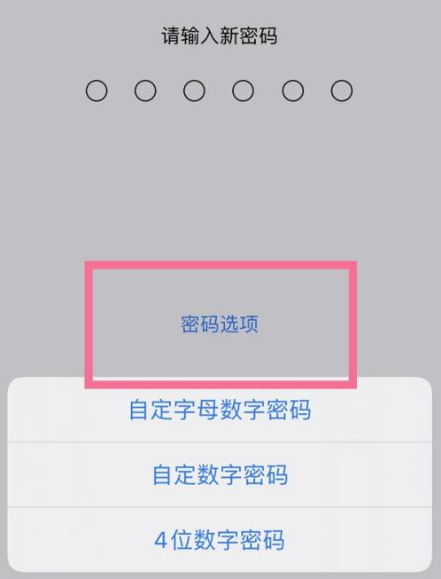 昌平苹果14维修分享iPhone 14plus设置密码的方法 