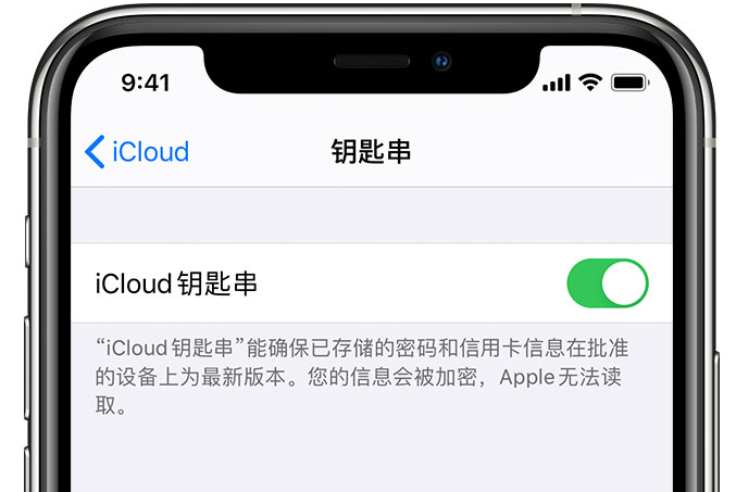 昌平苹果手机维修分享在 iPhone 上开启 iCloud 钥匙串之后会储存哪些信息 