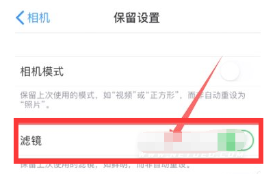 昌平苹果13维修分享iPhone13拍照有绿点是怎么回事 