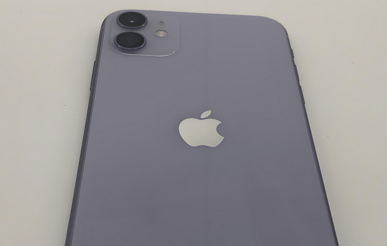 昌平苹果11系统维修分享iPhone11手机系统崩溃无法开机如何解决