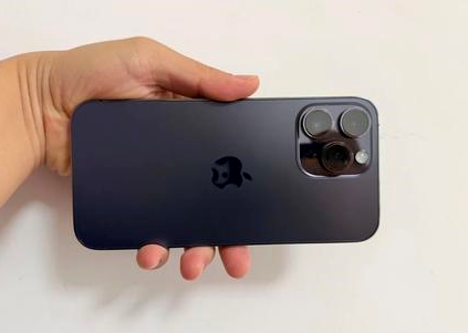 昌平苹果维修点分享iPhone 14 Pro Max黑屏少见故障盘点 
